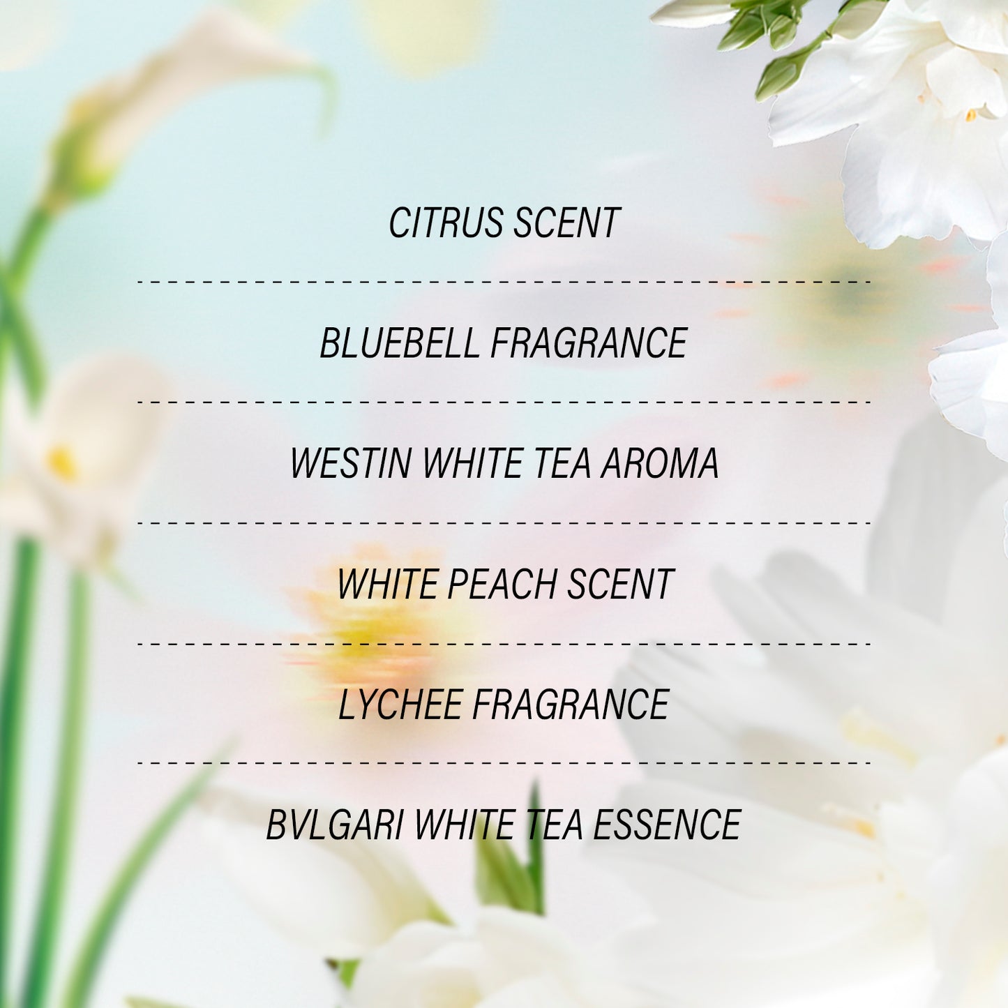Custom Scented Cards