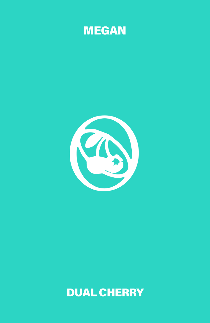 Downloadable asset