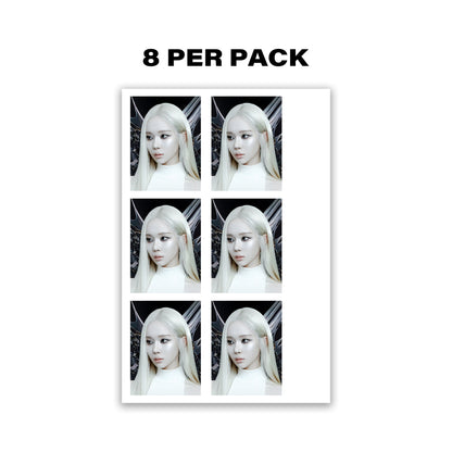 SYNK : COMPLæXITY ID Photo Sheets
